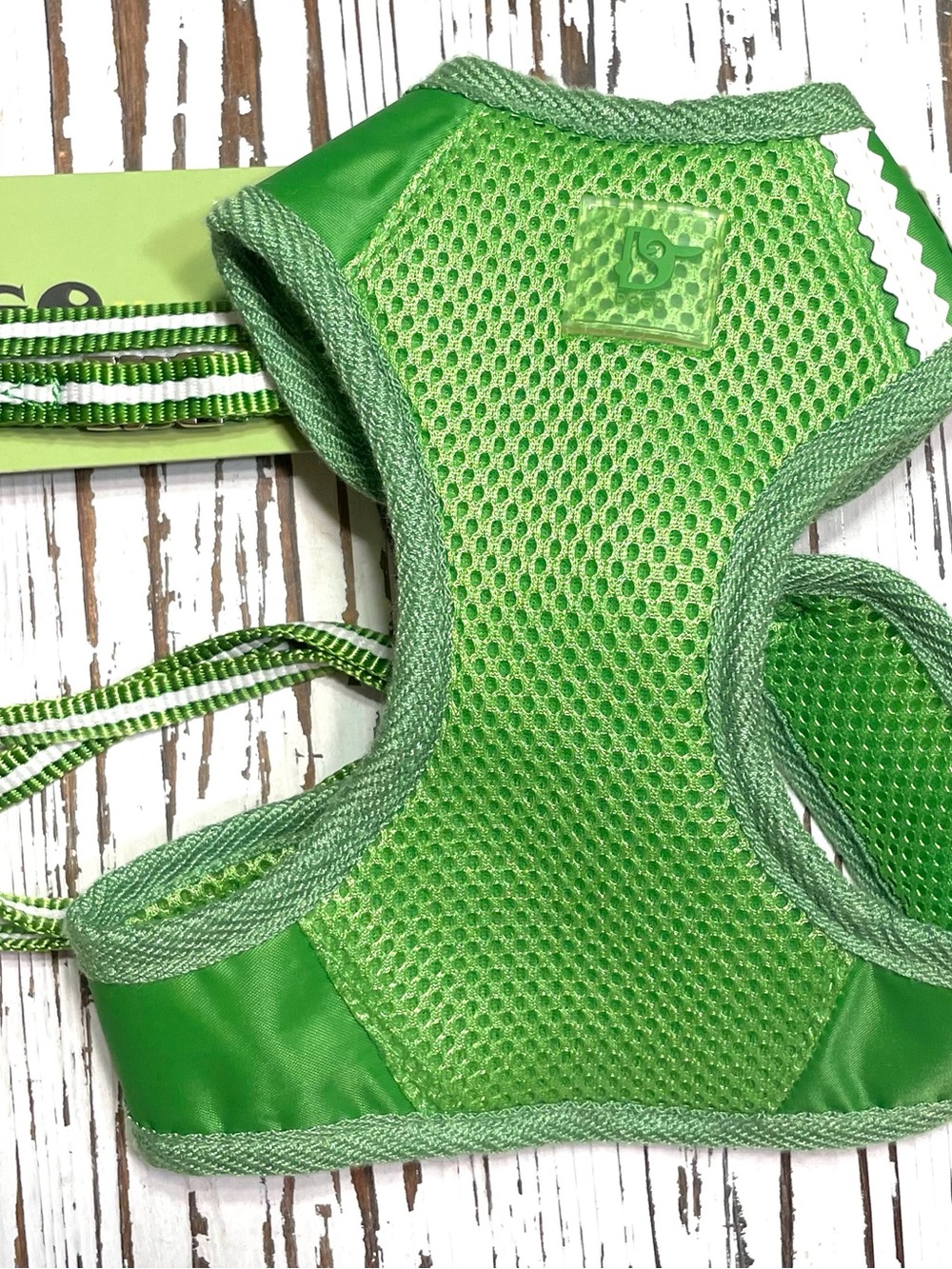 Green Mesh Dog Harness with leash included. large